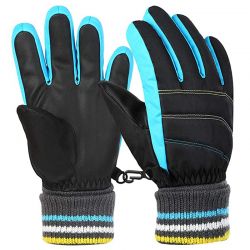 Ski Gloves